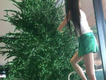 马树奇趣秀美女小姐姐,邂逅美女小姐姐的欢乐时光