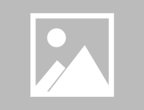 小姐姐lemon,探索小姐姐Lemon的独特魅力与生活态度